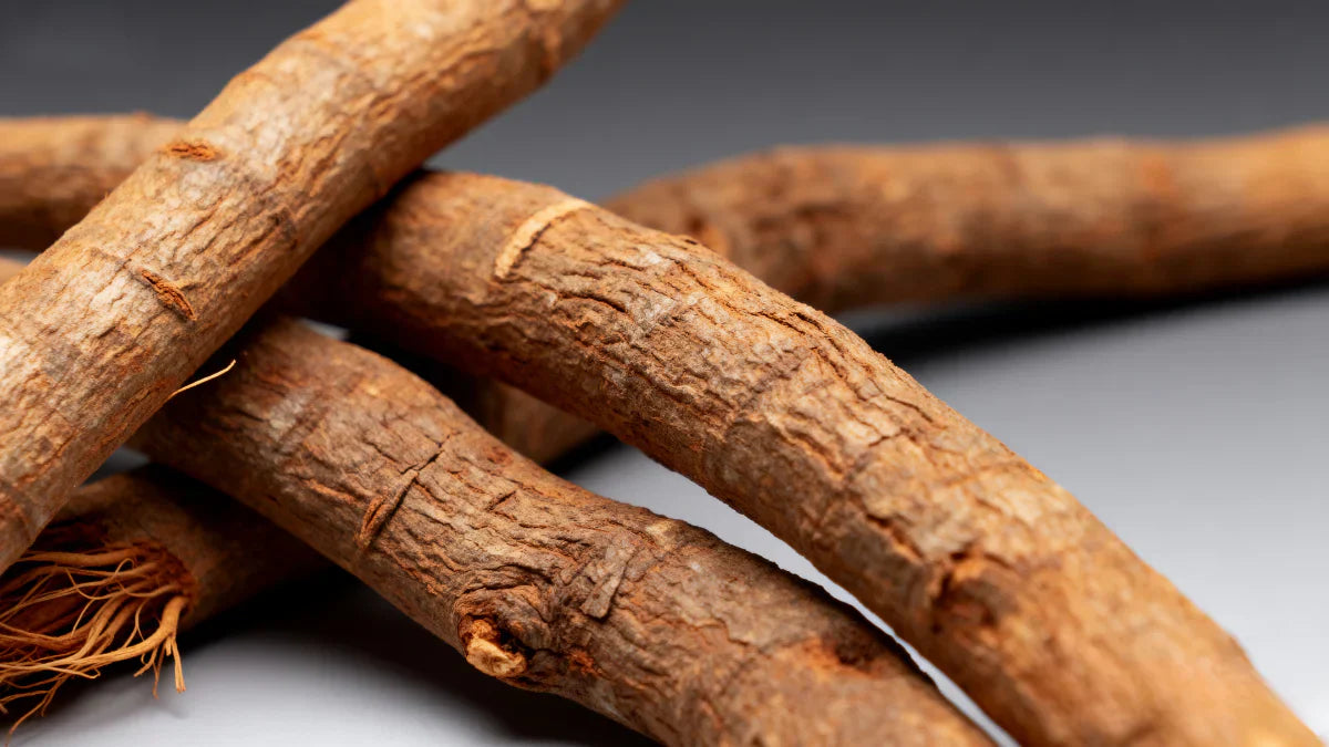 Does Tongkat Ali Actually Boost Testosterone? The Science, Benefits, and What to Know